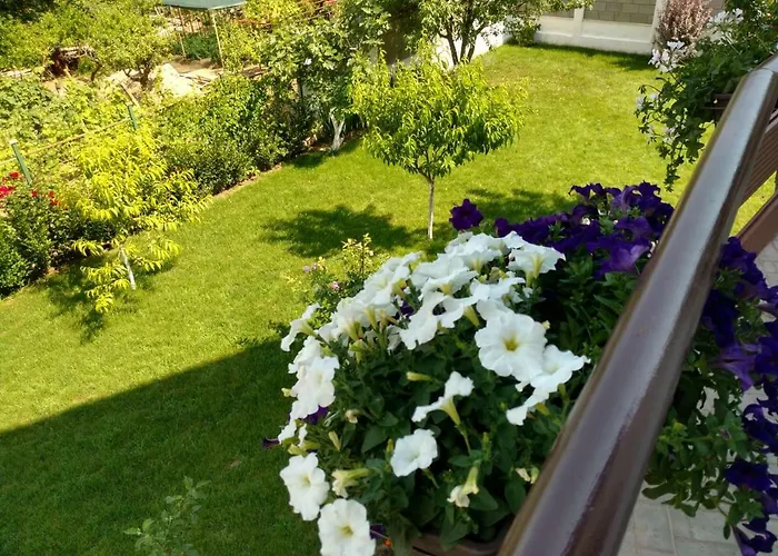 In Golden Sands Park Near The Sea